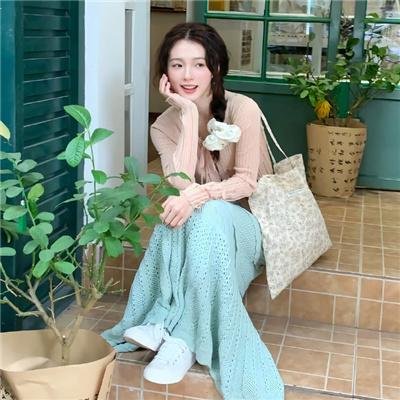 最狂野的梦想:征服珠峰