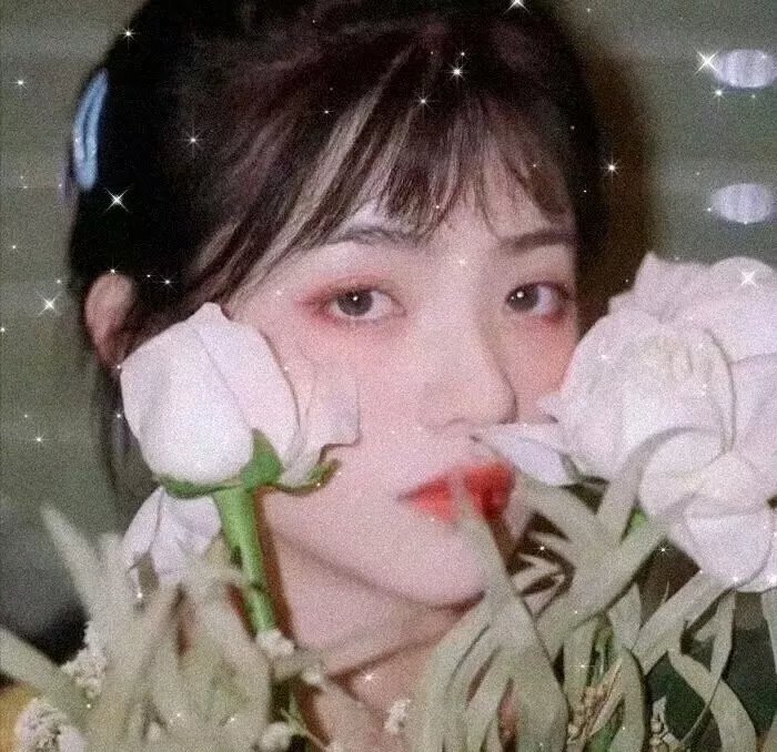 铿锵玫瑰